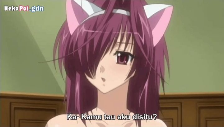nekopoi 77