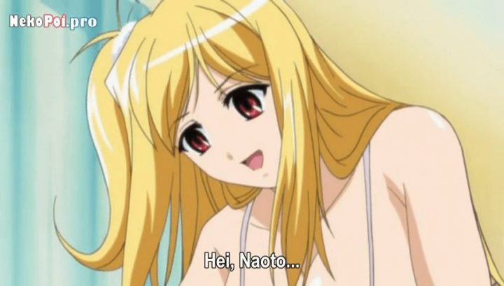 nekopoi 84